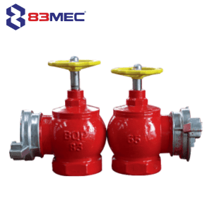Indoor Fire Hydrant Landing Valve