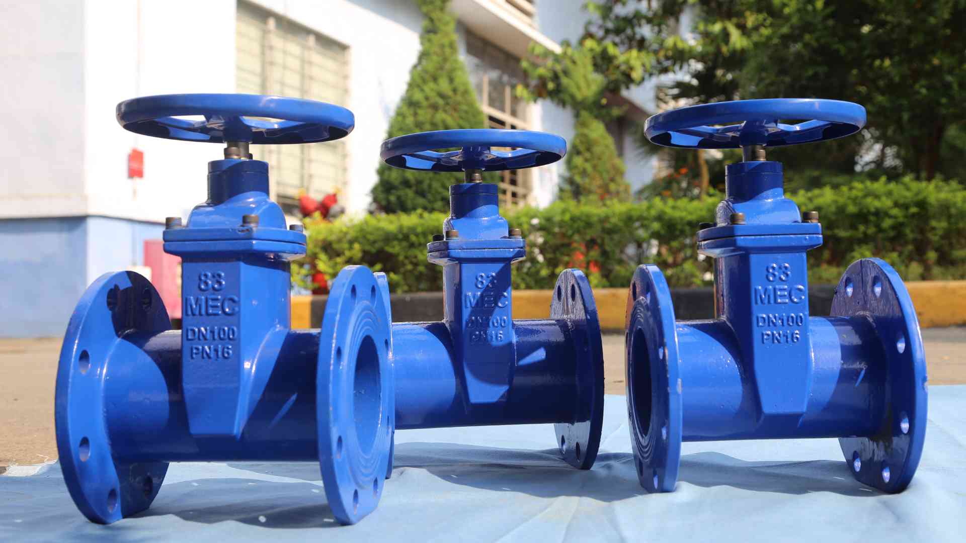 Ductile Iron Gate Valve DN100