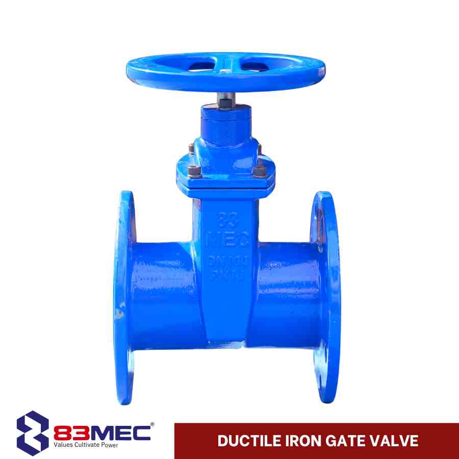 Ductile Iron Gate Valve