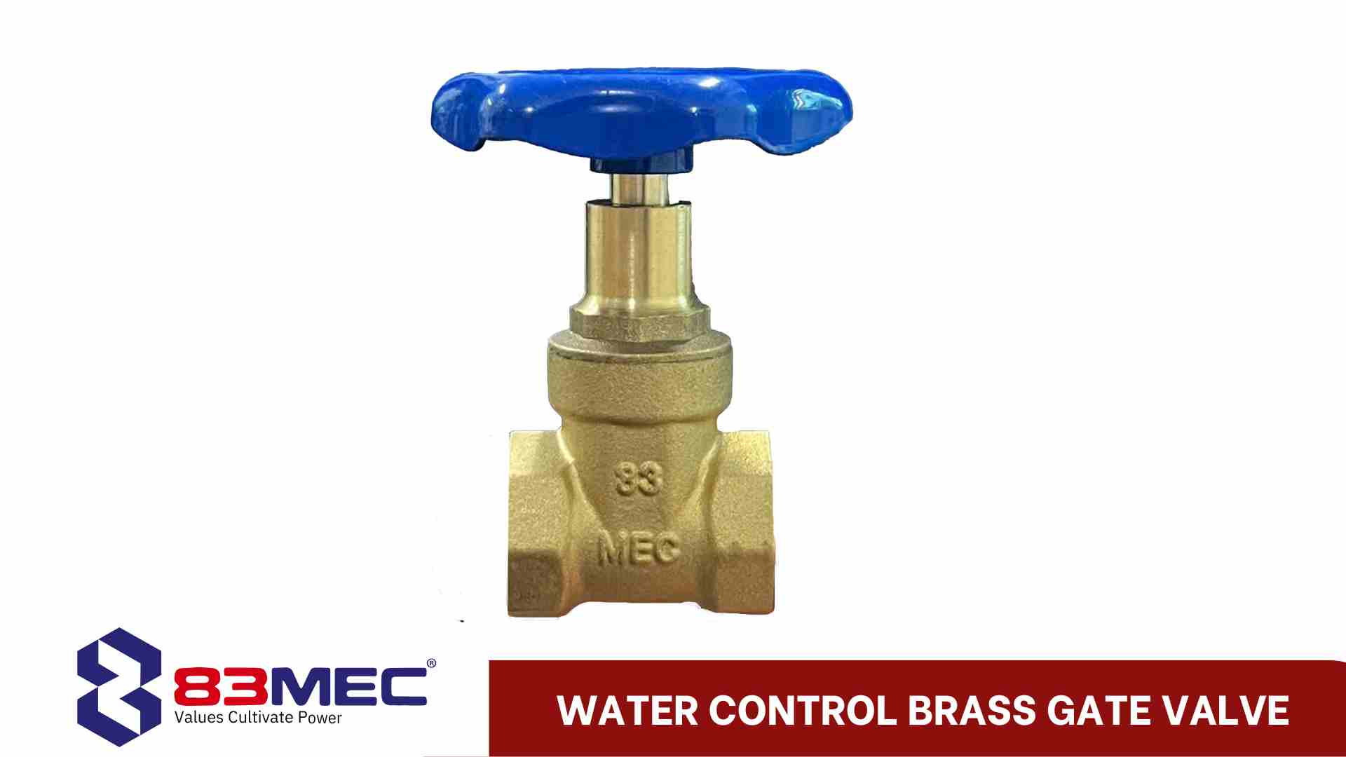 Bronze and Brass Valves 4 Water Control Brass Gate Valve