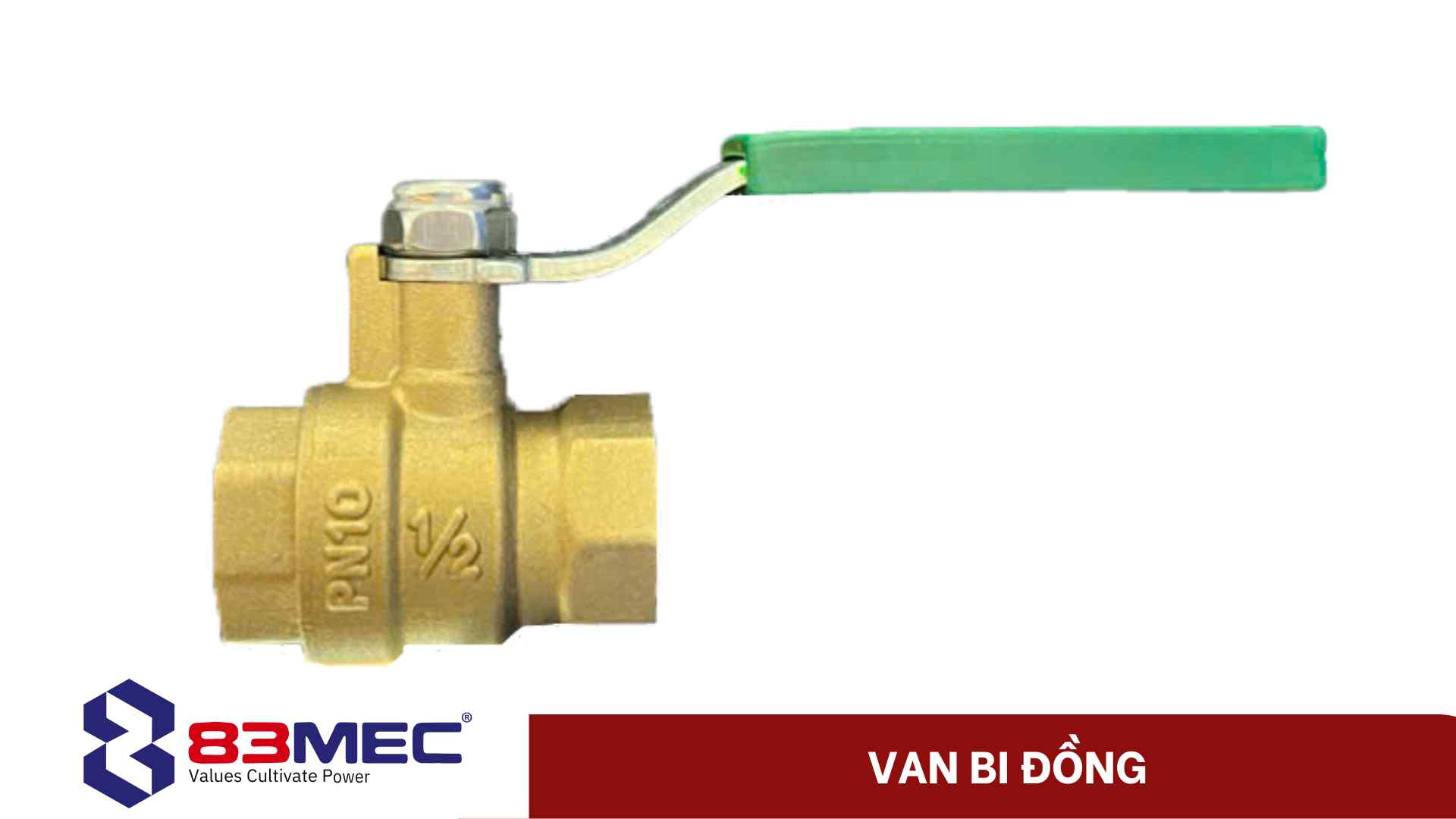 van bi đồng (1)