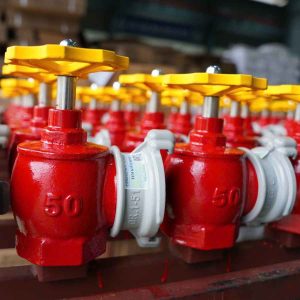 Van góc chữa cháy DN50 DN65 83MEC (2)