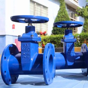 van cổng ty chìm DN100 83MEC
